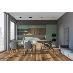 Rabalux LiTrack Line lampa do szynoprzewodów 1x12 W czarny 70117