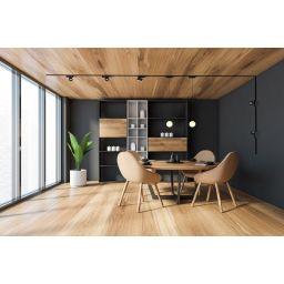 Rabalux LiTrack Pendant lampa do szynoprzewodów 1x5 W biały-czarny 70109