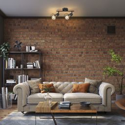 Rabalux Fran lampa podsufitowa 2x40 W czarna 71066