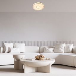 Rabalux Taytum plafon 1x25W LED biały mat 71117