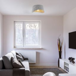 Rabalux Farelia lampa podsufitowa 1x10 W czarna-szara 71189