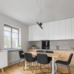 Rabalux Alaric lampa wisząca 1x3 W biała-czarna 72278