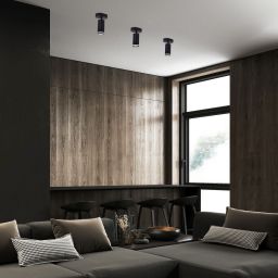 Rabalux Senobia lampa podsufitowa 1x35 W czarna 73033