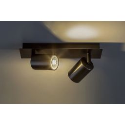 Rabalux Gerhard lampa podsufitowa 2x15 W szara 73072