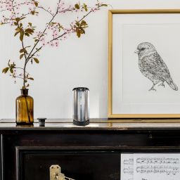 Rabalux Veness lampa stołowa 1x40 W czarna-przydymiona 74206