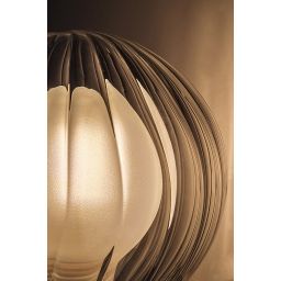 Rabalux Colzar kinkiet 1x3,5 W czarny-przezroczysty 75021