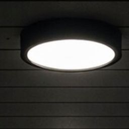 Rabalux Shaun Plus plafon zewnętrzny 1x30 W czarna 75076