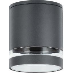 Rabalux Zombor lampa podsufitowa zewnętrzna 1x35 W antracyt 7817