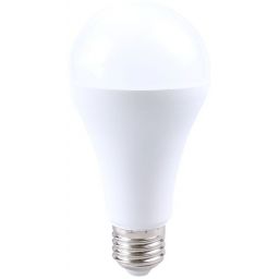 Rabalux Smd-Led żarówka LED 1x22 W 4000 K E27 79118