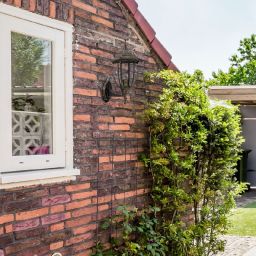 Rabalux Nizza kinkiet zewnętrzny 1x60 W złoty 8452