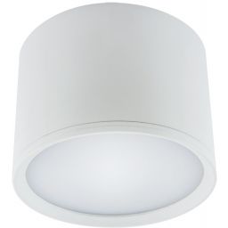 Strühm Rolen lampa podsufitowa 1x7 W biała 03108