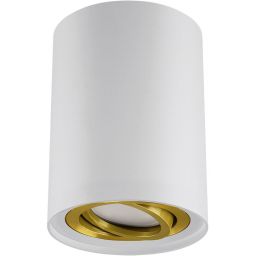 Strühm Hary lampa podsufitowa 1x35 W biała 04239