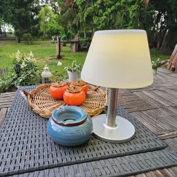 Strühm Pelagia lampa stołowa 1x2 W biała-chrom 04371