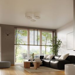 Sollux Lighting Telesto lampa podsufitowa 1x15 W biała- ciemny brąz SL.1392