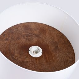Sollux Lighting Telesto lampa podsufitowa 1x15 W biała- ciemny brąz SL.1392