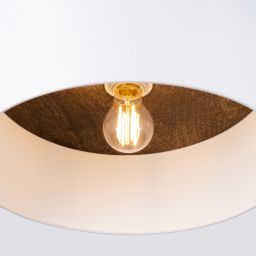 Sollux Lighting Telesto lampa podsufitowa 1x15 W biała- ciemny brąz SL.1392