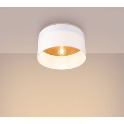 Sollux Lighting Telesto lampa podsufitowa 1x15 W biała- jasny brąz SL.1393
