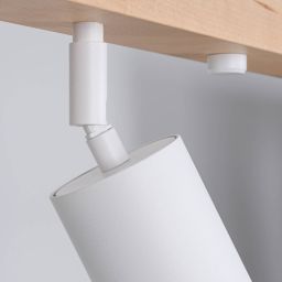 Sollux Lighting Verdo lampa podsufitowa 4x10W biały SL.1289
