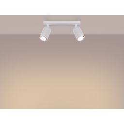 Sollux Lighting Karbon lampa podsufitowa 2x10 W biała SL.1542