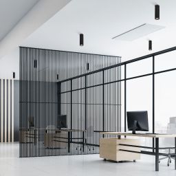 TK Lighting Tune lampa podsufitowa 1x10 W czarna 10024