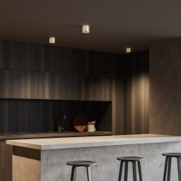 TK Lighting Orion lampa podsufitowa 1x10 W złota 10128