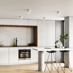 TK Lighting Vivo lampa do zabudowy 1x10 W biała 10595