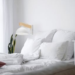 TK Lighting Oslo kinkiet 1x15W biały/jasne drewno 4962