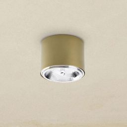 TK Lighting Moris lampa podsufitowa 1x12W złota 3349