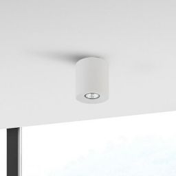 TK Lighting Orion lampa podsufitowa 1x10W biała 3237