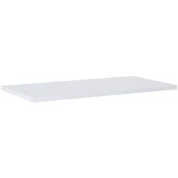 Elita Lofty blat 100x49 cm biały RE051000128060