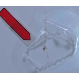 Outlet - Roca Granada brodzik prostokątny 140x80 cm biały A276263000