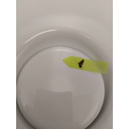 Outlet - Roca Ohtake umywalka 38x38 cm nablatowa biała A327A15000