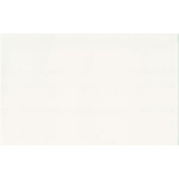 Ceramika Color Nero płytka ścienna 25x40 cm biały połysk