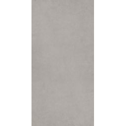 Paradyż Intero płytka ścienno-podłogowa 59,8x119,8 cm srebrny mat