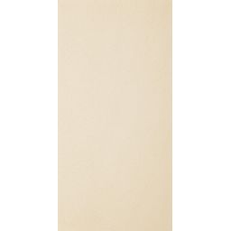 Paradyż Arkesia płytka ścienno-podłogowa 29,8x59,8 cm biały mat