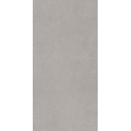 Paradyż Intero płytka ścienno-podłogowa 29,8x59,8 cm srebrny mat