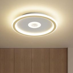 Abigali Modern plafon 1x24W LED złoty/biały MD1805-RH-G