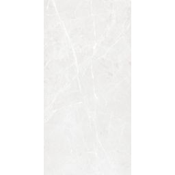 IPC Bari Grey płytka ścienno-podłogowa 120x60 cm szara