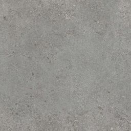 Paradyż Authority Grey płytka ścienno-podłogowa 59,8x59,8 cm szara