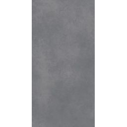 Paradyż Architeq Graphite płytka ścienno-podłogowa 119,8x59,8 cm szara