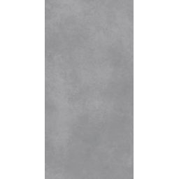 Paradyż Architeq Grey płytka ścienno-podłogowa 119,8x59,8 cm szara
