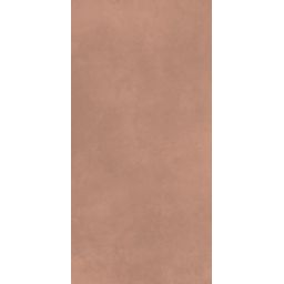 Paradyż Architeq Terra płytka ścienno-podłogowa 119,8x59,8 cm brązowa