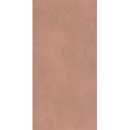 Paradyż Architeq Terra płytka ścienno-podłogowa 119,8x59,8 cm brązowa