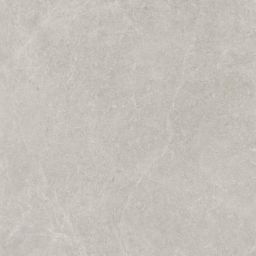 Paradyż U118 płytka ścienno-podłogowa 59,8x59,8 cm szara
