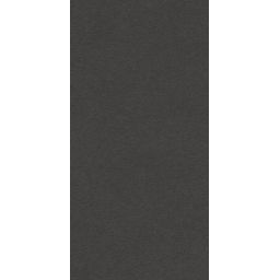 Paradyż Archicross Base Black struktura płytka ścienno-podłogowa 59,8x29,8 cm czarna