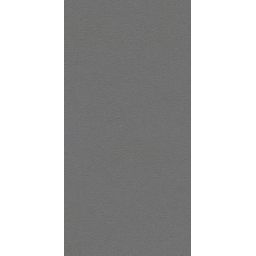 Paradyż Archicross Base Grey Struktura płytka ścienno-podłogowa 59,8x29,8 cm szara