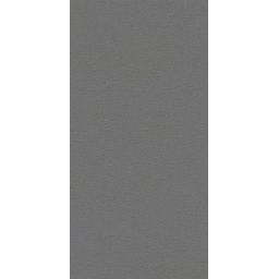 Paradyż Archicross Base Grey Struktura płytka ścienno-podłogowa 59,8x29,8 cm szara