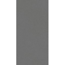 Paradyż Archicross Base Grey Struktura płytka ścienno-podłogowa 59,8x29,8 cm szara