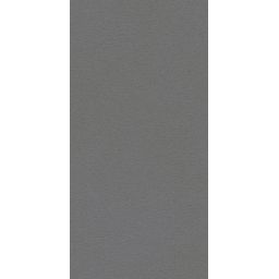 Paradyż Archicross Base Grey Struktura płytka ścienno-podłogowa 59,8x29,8 cm szara