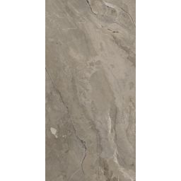 Paradyż Generous płytka ścienno-podłogowa 119,8x59,8 cm szara